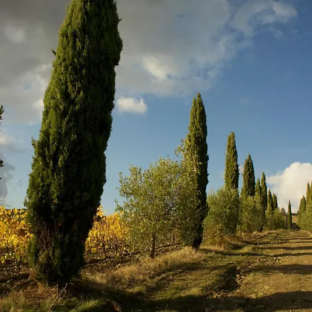 Castello Di Volpaia