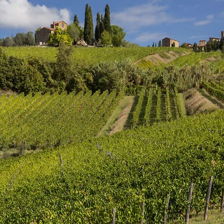 Castello Di Volpaia * Radda In Chianti