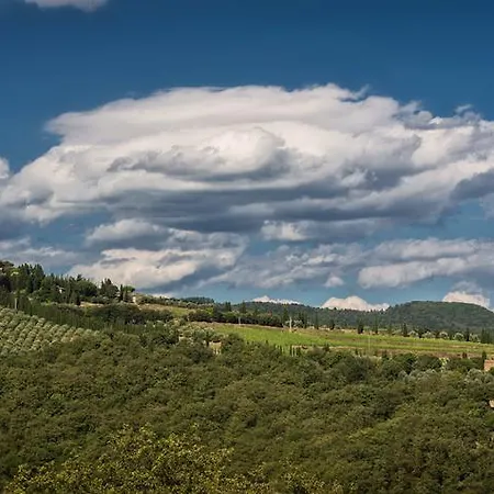 Castello Di Volpaia