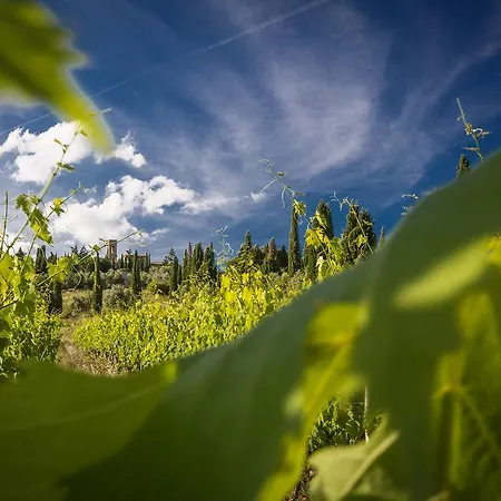 Castello Di Volpaia בית כפרי ראדה אין קיאנטי